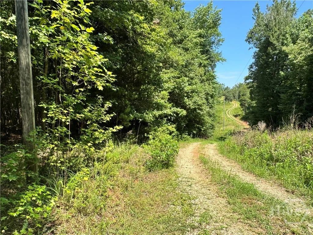 Vacant Land in Danielsville - Danielsville, Georgia, 30633