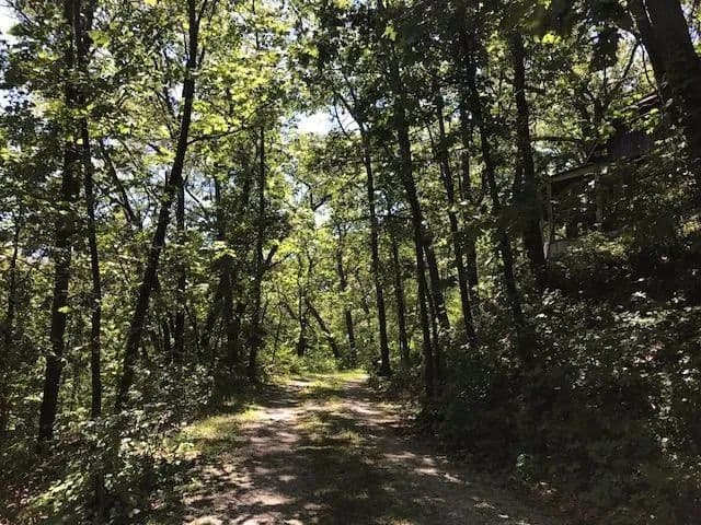 Vacant Land in Beverly Shores