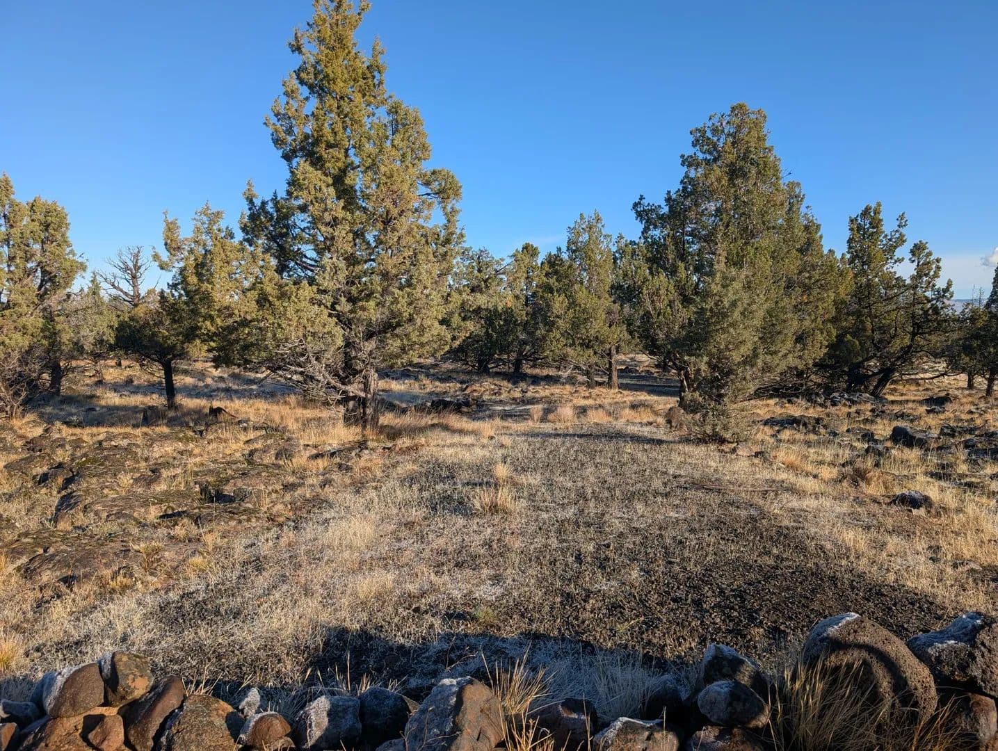 Lots & Land-Other in Keno - Keno, Oregon, 97627