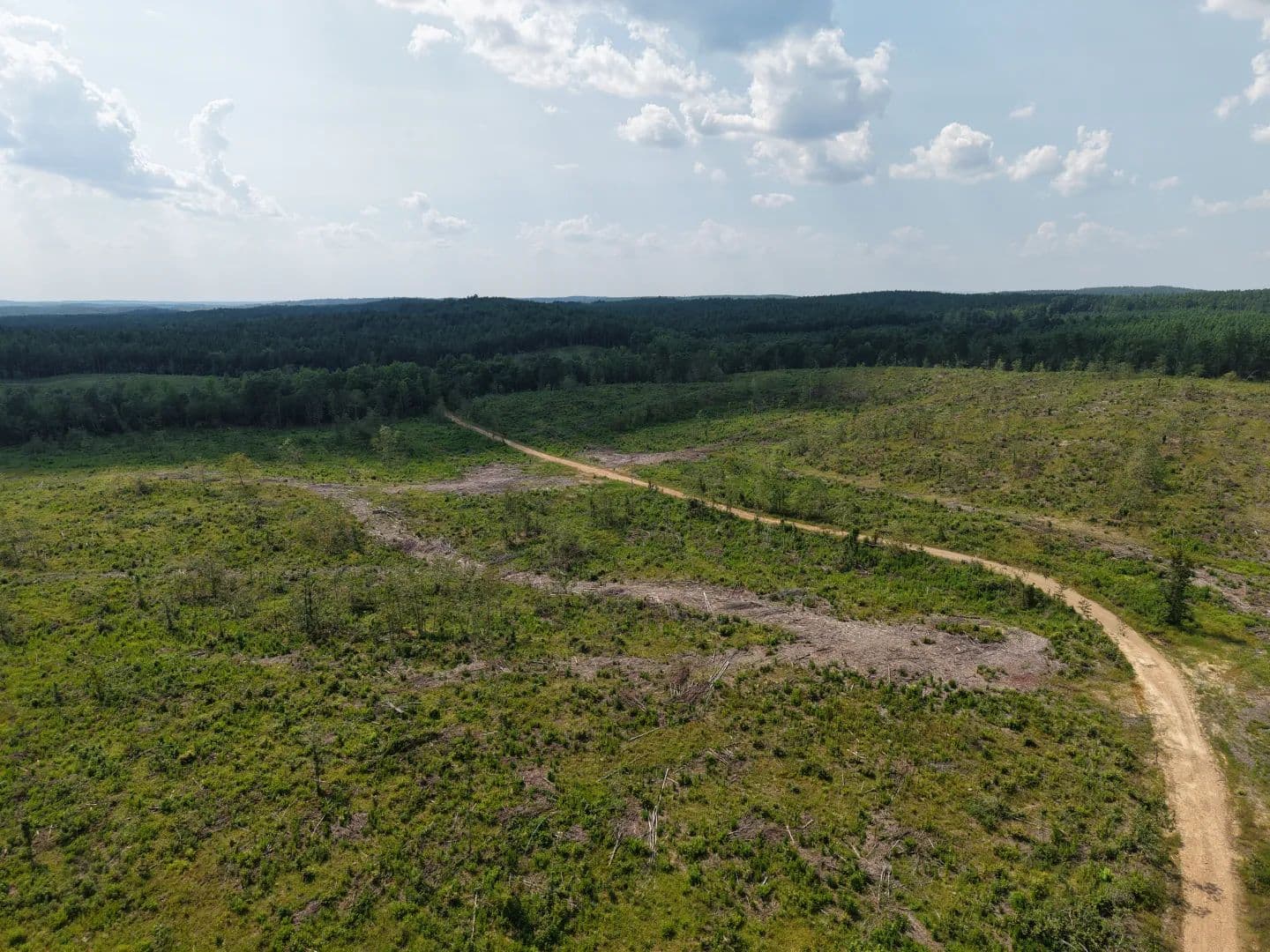 61 Acres in Pike County, AR - Newhope, Arkansas, 71959