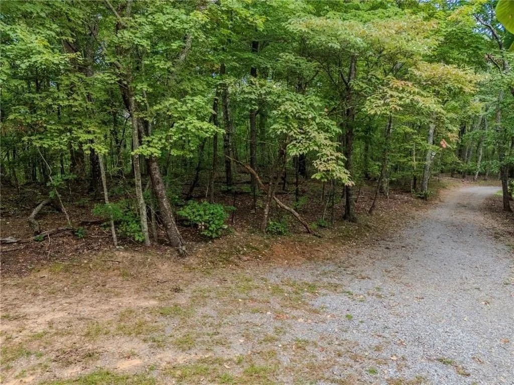 Lots & Land-Other in Jasper - Jasper, Georgia, 30143