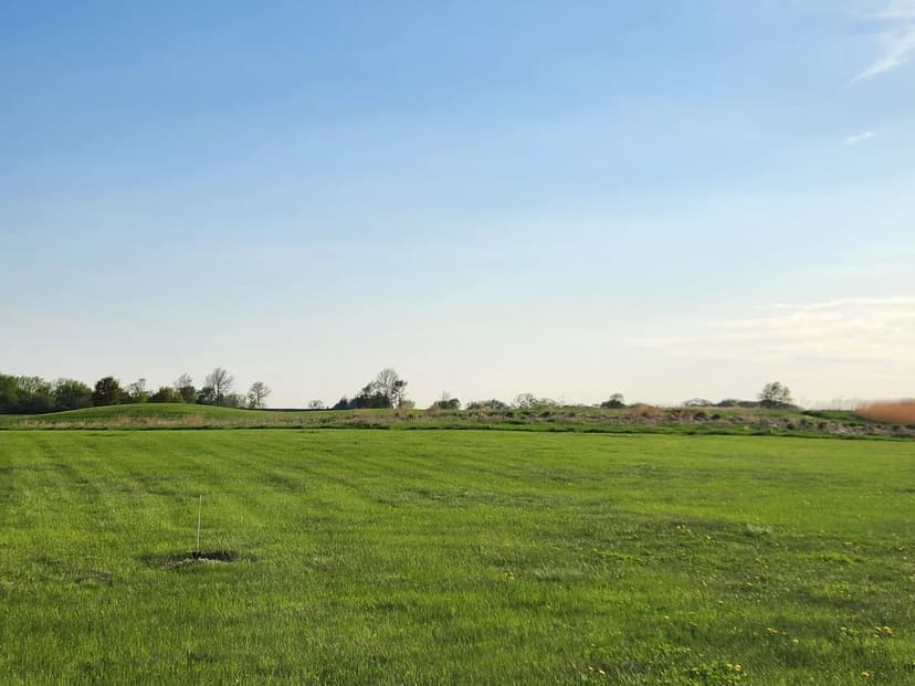 Lots & Land-Other in Sheffield