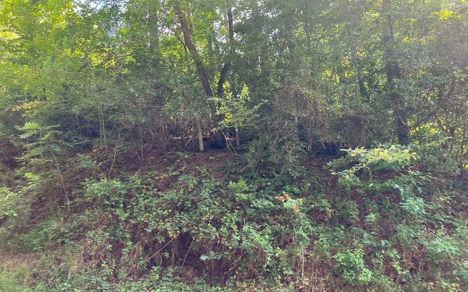 Lots & Land-Other in Hayesville - Hayesville, North Carolina, 28904