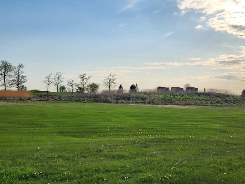 Lots & Land-Other in Sheffield