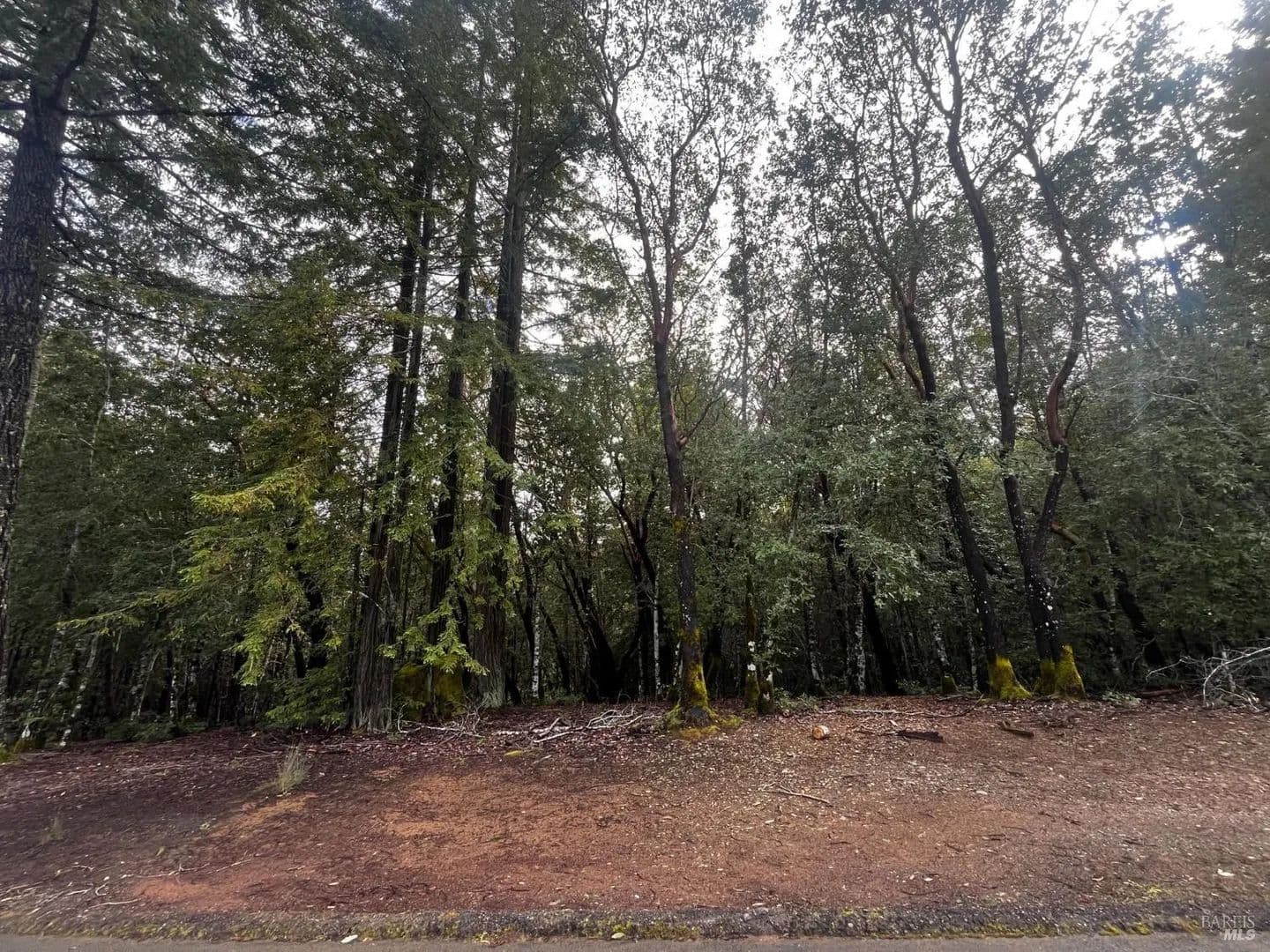 Lots & Land-Other in Willits - Willits, California, 95490