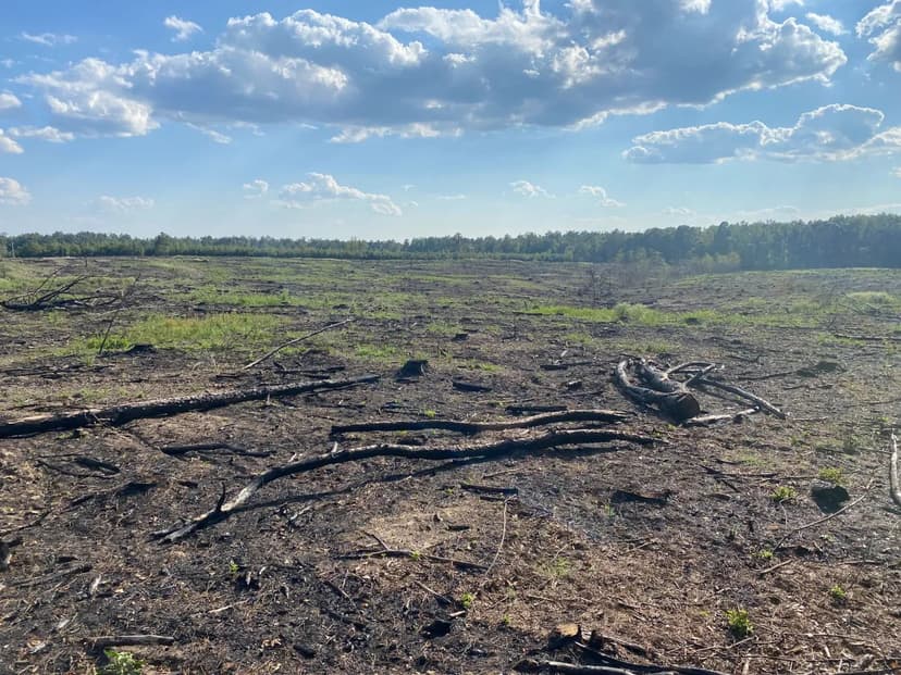 40 Acres in Lincoln County, AR 