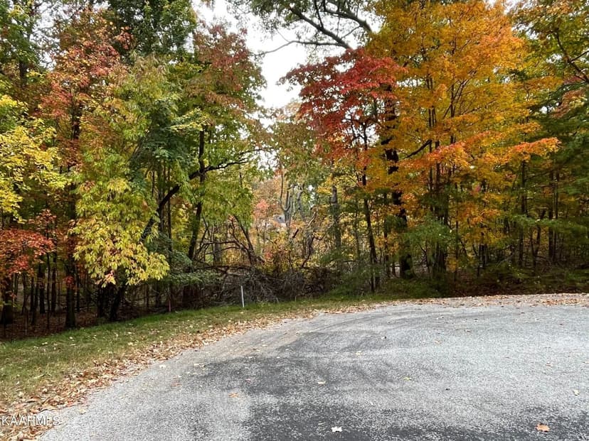 Lots & Land-Other in Crossville