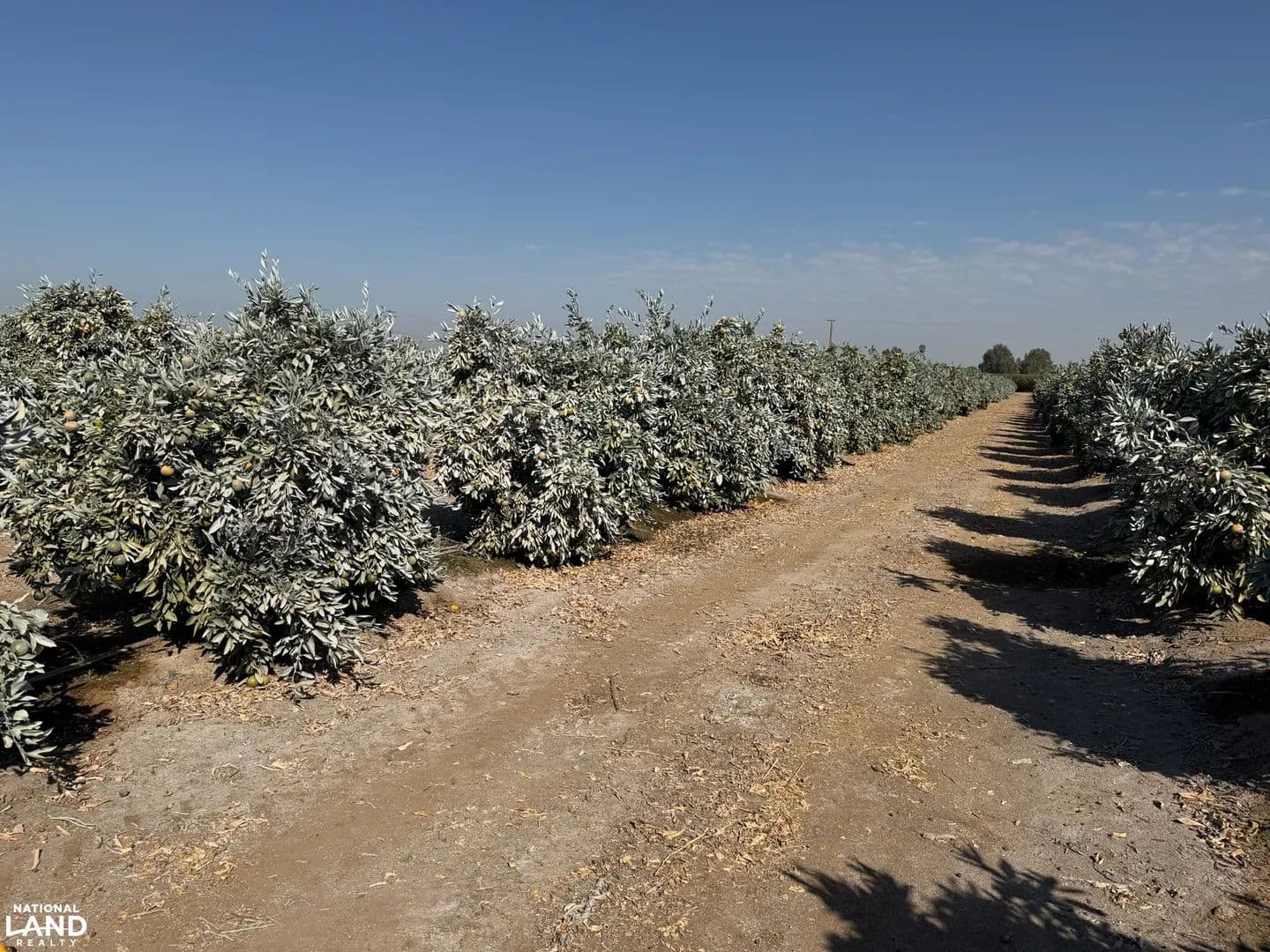 Roadrunner 1 Ranch - Exeter, California, 93221