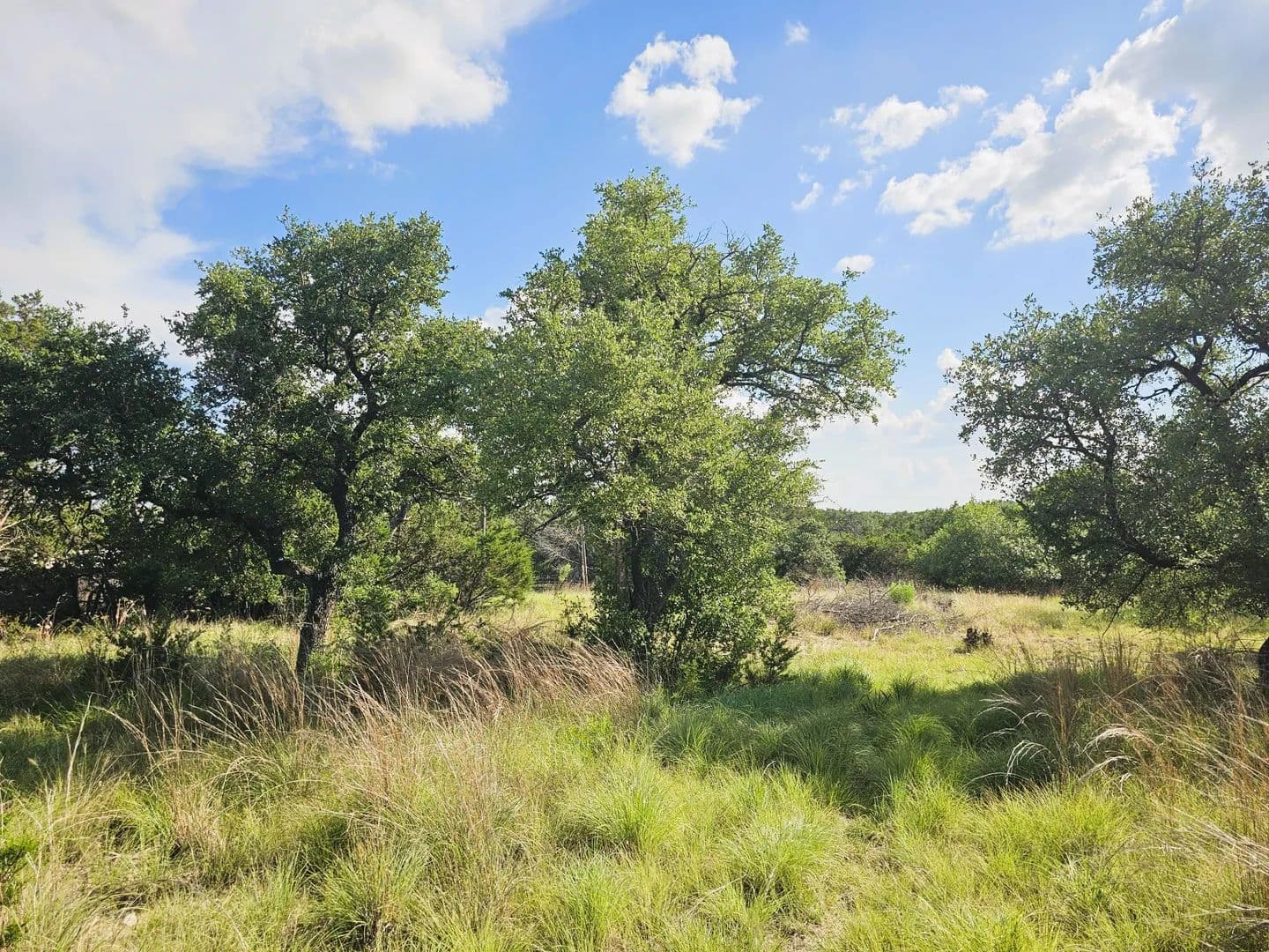 Vacant Land in Kempner - Kempner, Texas, 76539