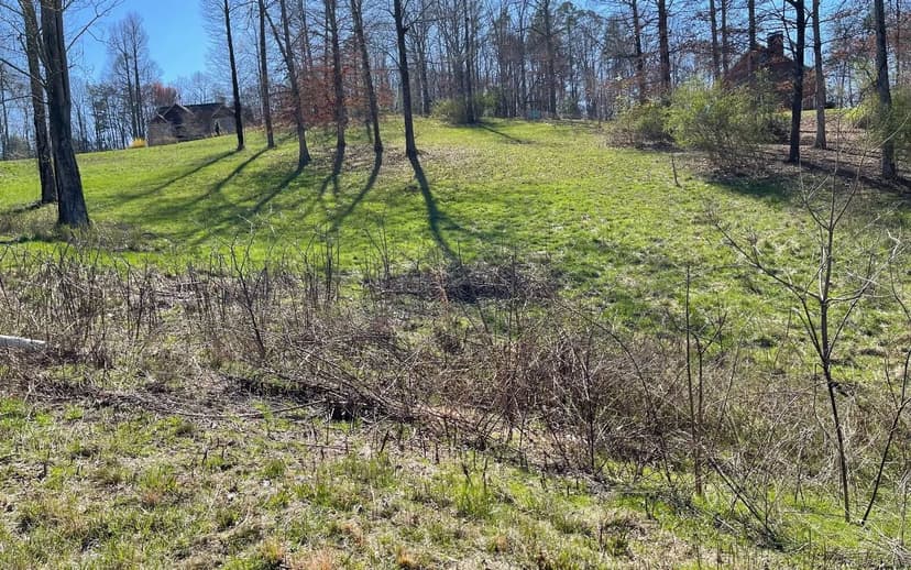 Lots & Land-Other in Blairsville
