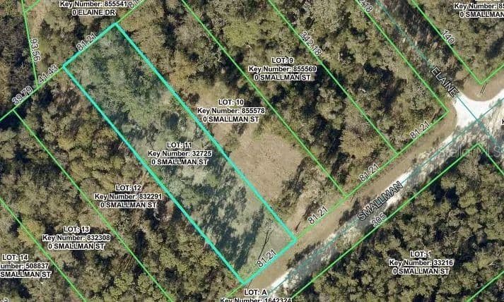 Property from SMALLMAN STREET - KW - Webster, Florida, 33597