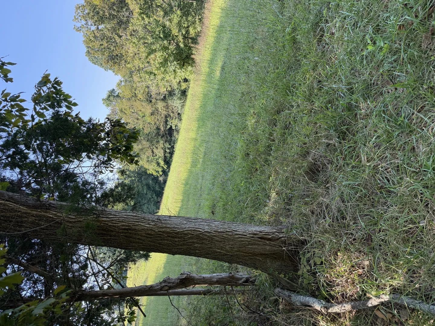 Vacant Land (10+ Acres) in Waddy - Waddy, Kentucky, 40076