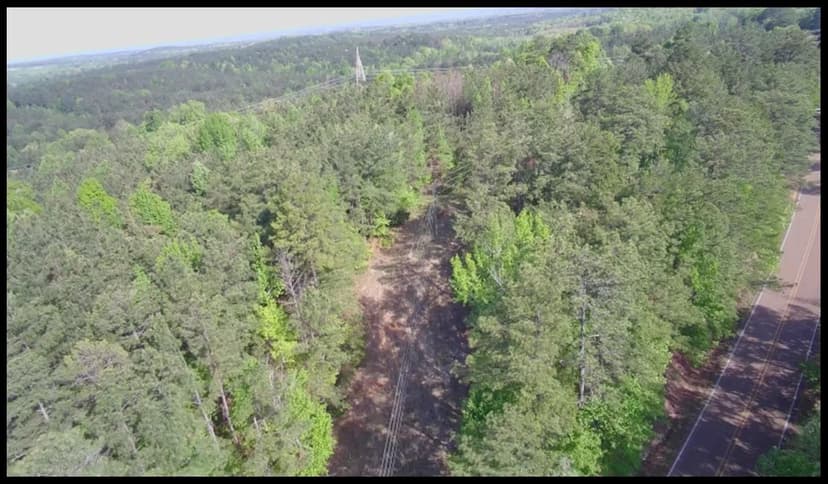 26.3 Acres in Choctaw County in Ackerman, MS 