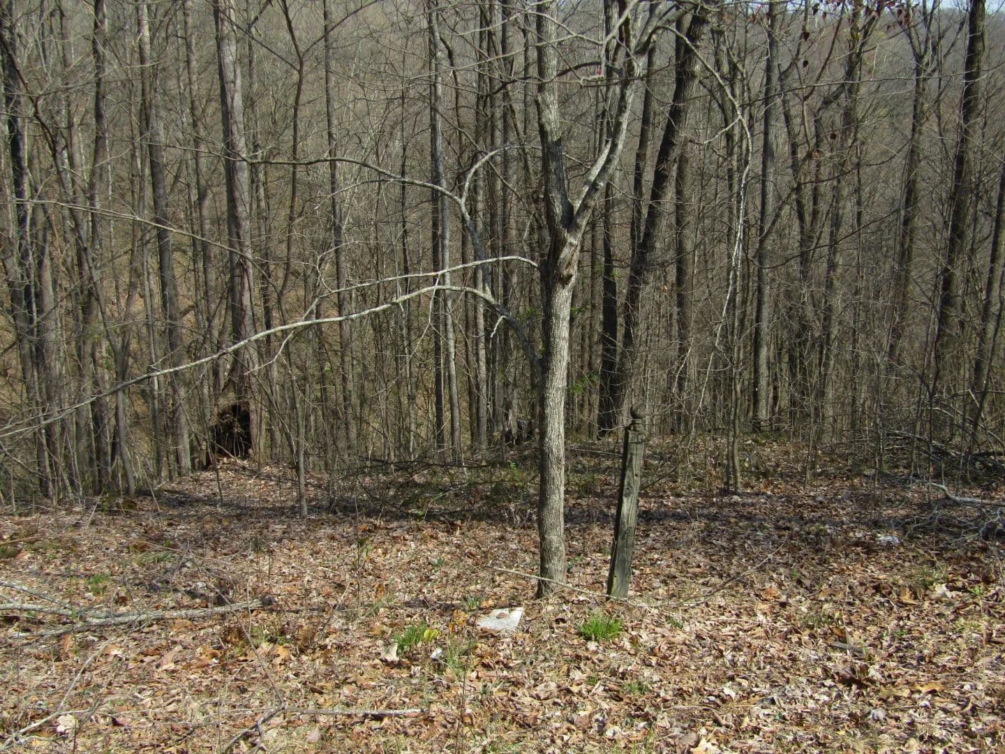 4.71 AC IS ESTATE OF HUNTERS LANDING – CLOSE TO CENTER HILL LAKE, TN - Smithville, Tennessee, 37166