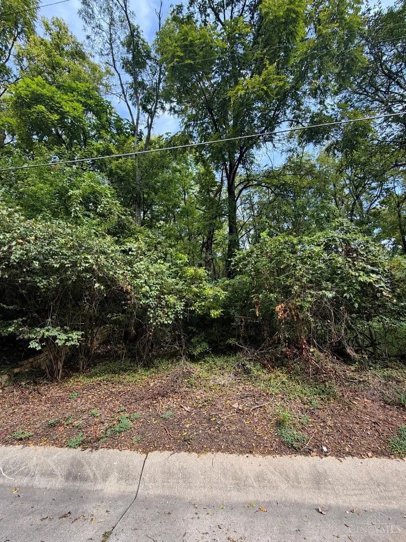 Vacant Land in Cincinnati - Cincinnati, Ohio, 45225