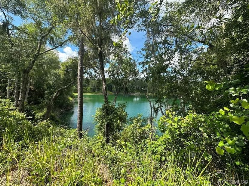 Lots & Land-Other in Hernando