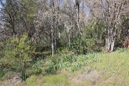 Lots & Land-Other in Clearlake
