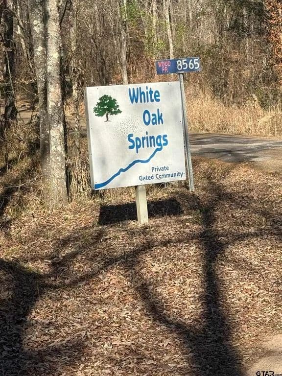Land -Single Family Acreage in Quitman - Quitman, Texas, 75494