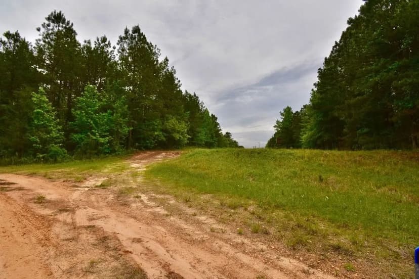 Willisville 20