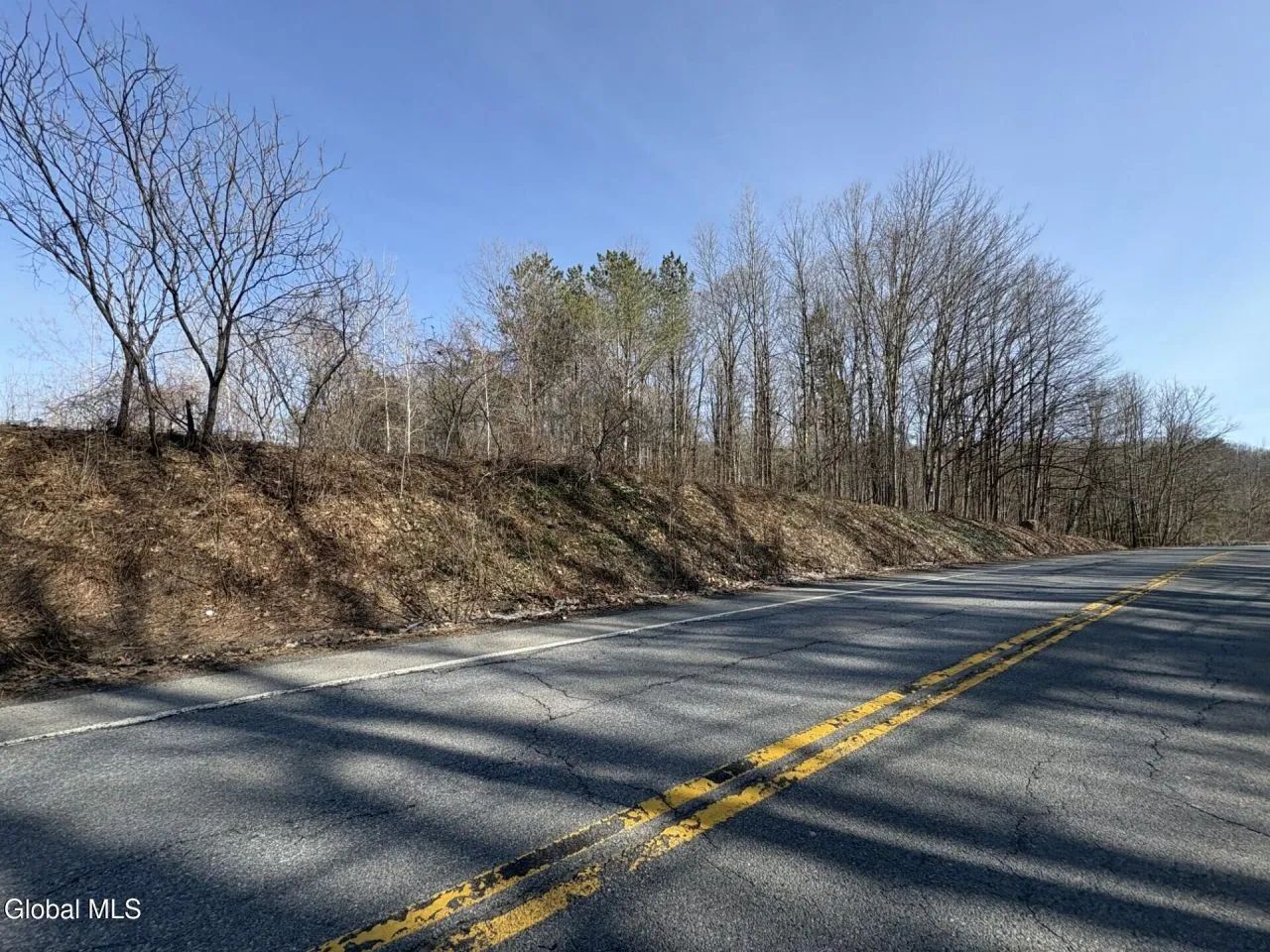 Land -Single Family Acreage in Gloversville