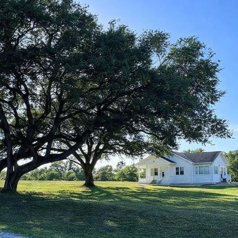 248 County Road 378, Hallettsville, TX 77964