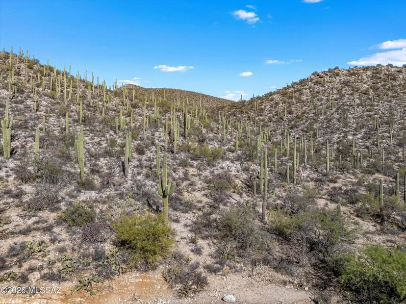 Vacant Land in Tucson