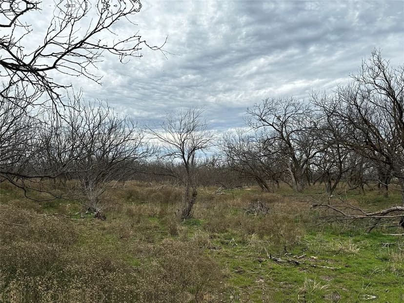 New Listing, 13+/- Ac (Tr 23 split), Callahan County