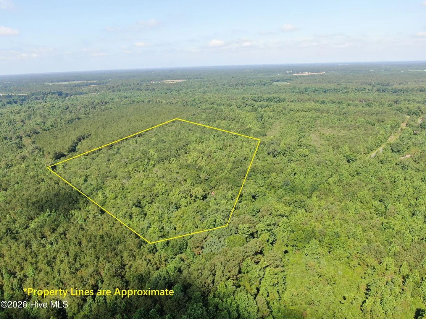 16.4 Acres of Land for Sale in Warsaw, NC - Warsaw, North Carolina, 28398