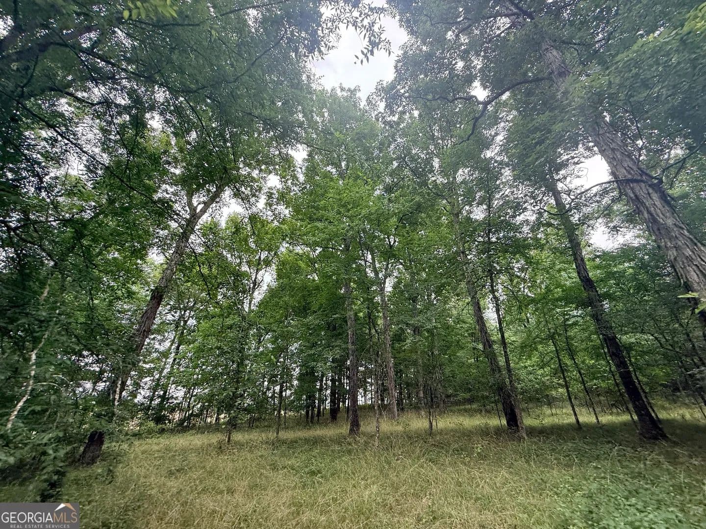 Property from 1 Bethesda Church Road - KW - Lexington, Georgia, 30648