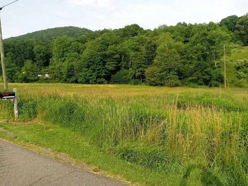 Vacant Land (10+ Acres) in Mouth of Wilson