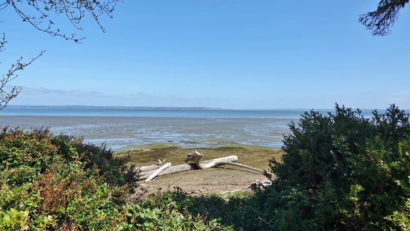 Vacant Land in Ocean Shores