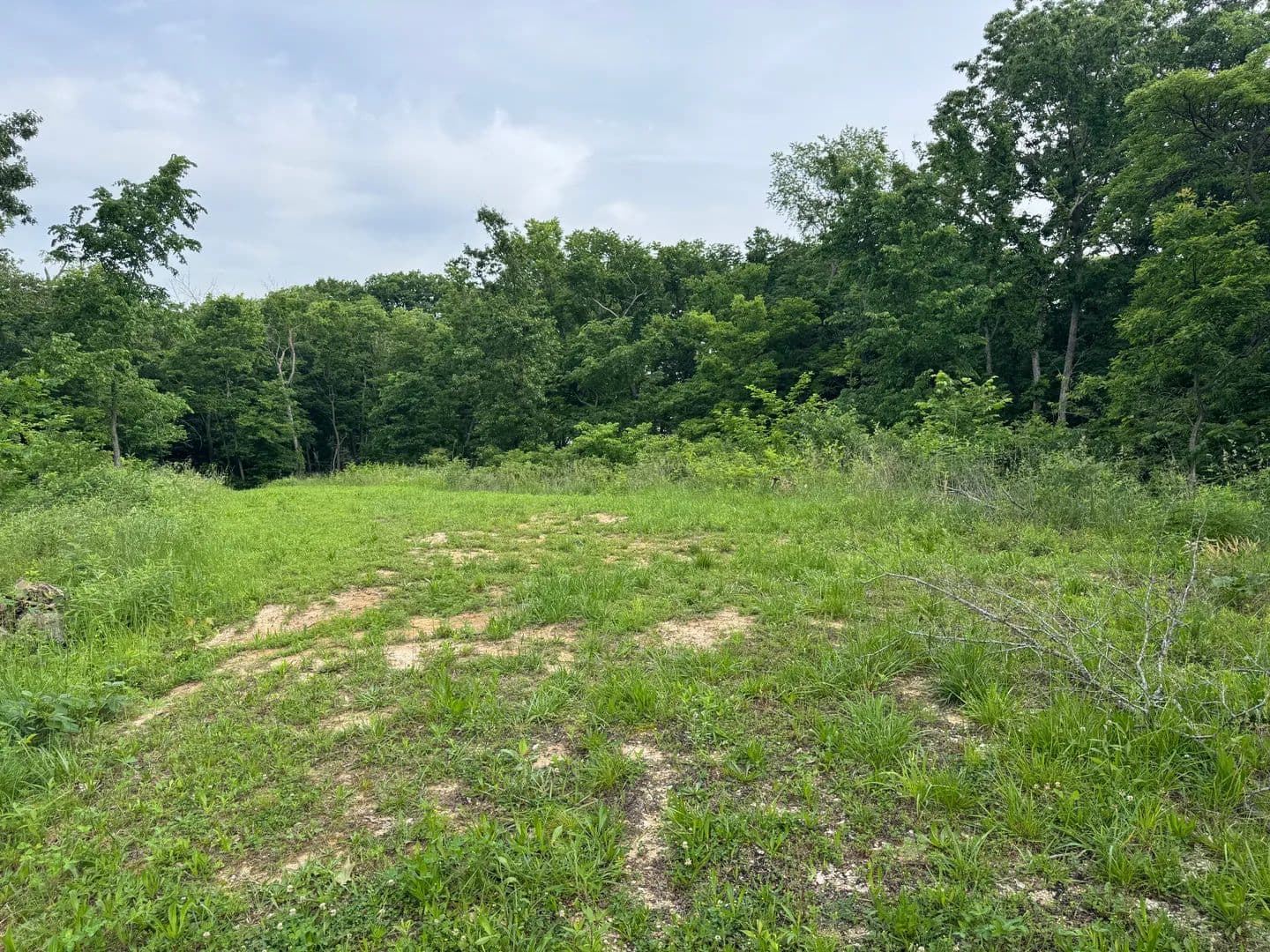 Land -Single Family Acreage in Panama - Panama, Illinois, 62077