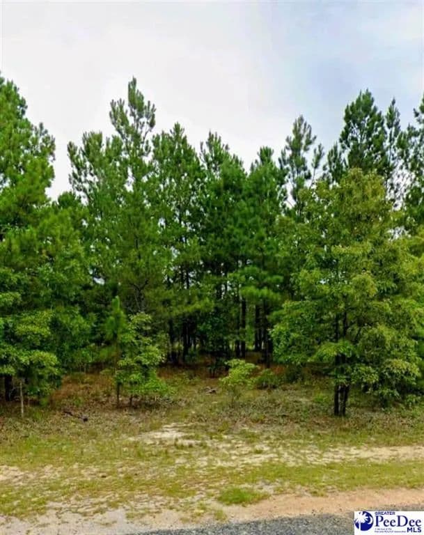 Lots & Land-Other in Hartsville - Hartsville, South Carolina, 29550