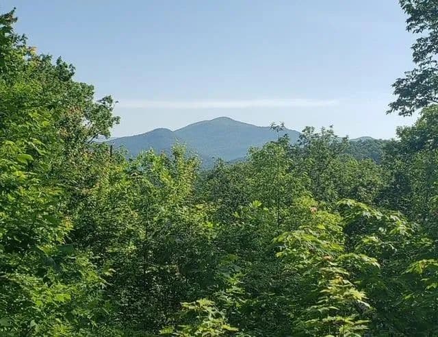 Lots & Land-Other in Hiawassee
