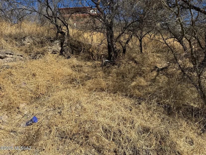 Lots & Land-Other in Nogales