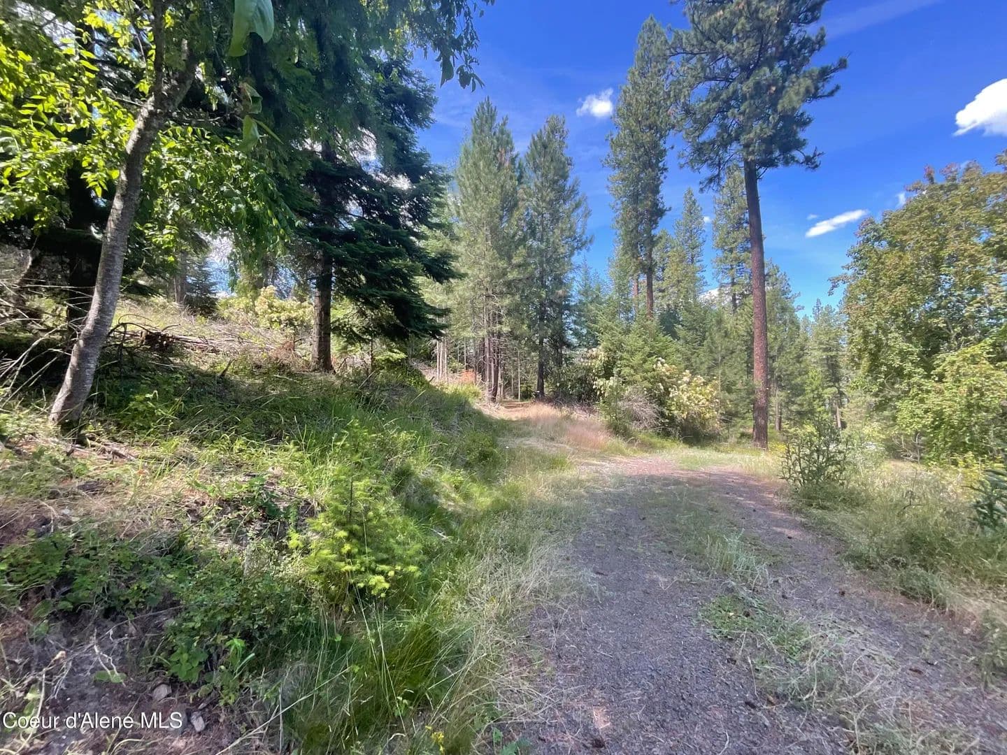 Vacant Land in Worley - Worley, Idaho, 83876