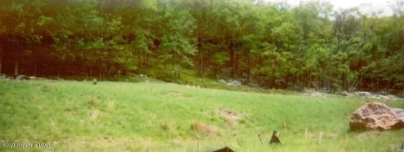 Lots & Land-Other in Hazle Twp