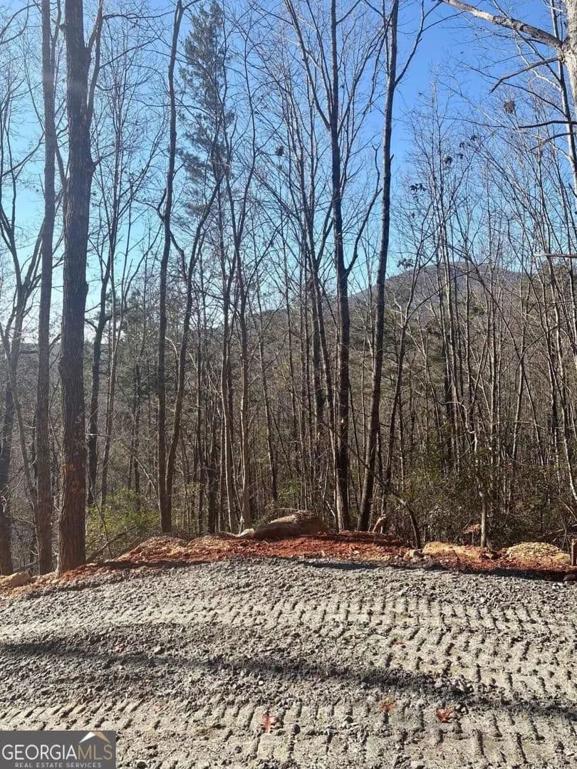 Vacant Land in Sautee Nacoochee - Georgia, 30571