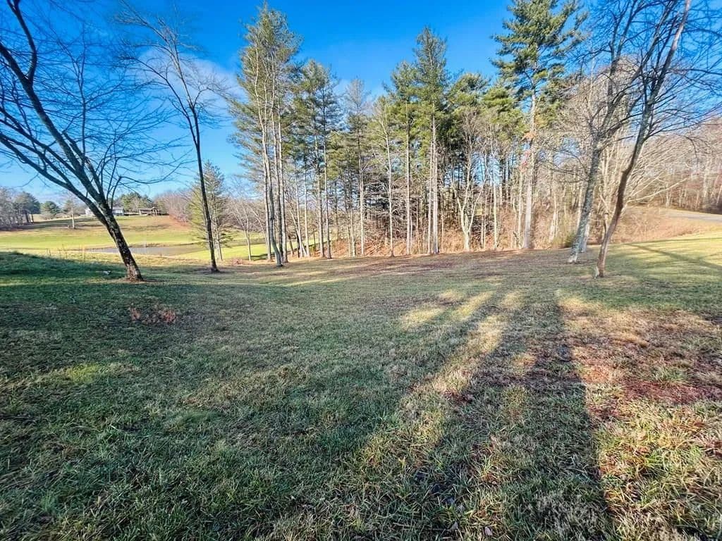 Vacant Land in Laurel Fork - Laurel Fork, Virginia, 24352