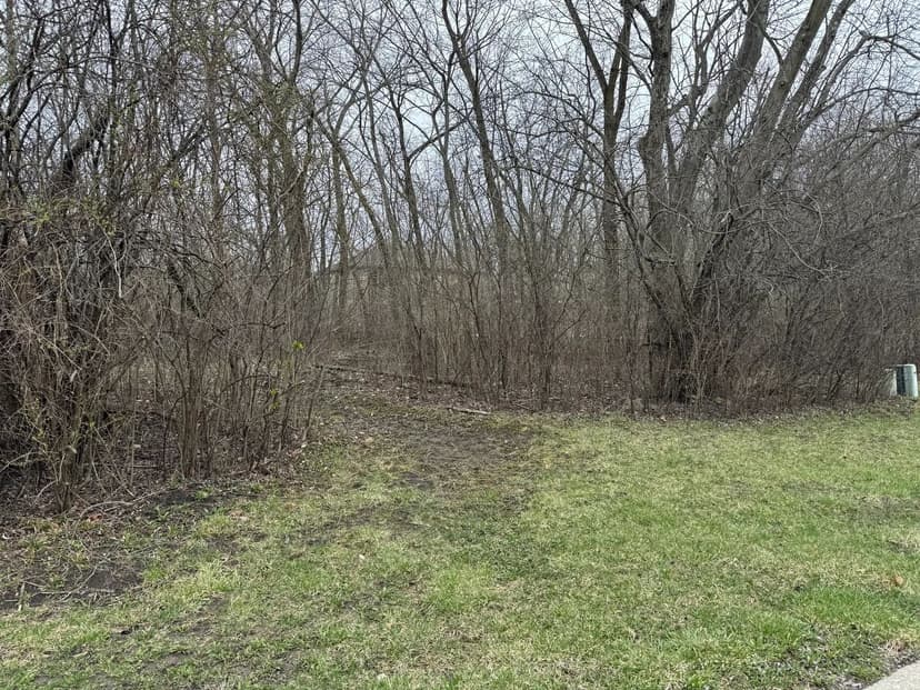 Vacant Land in Chicago Heights