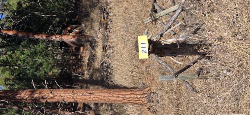 Property from 10 Tobacco Root Lane - KW