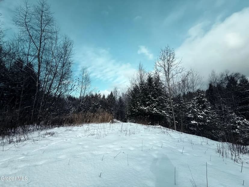 Land -Single Family Acreage in Granville