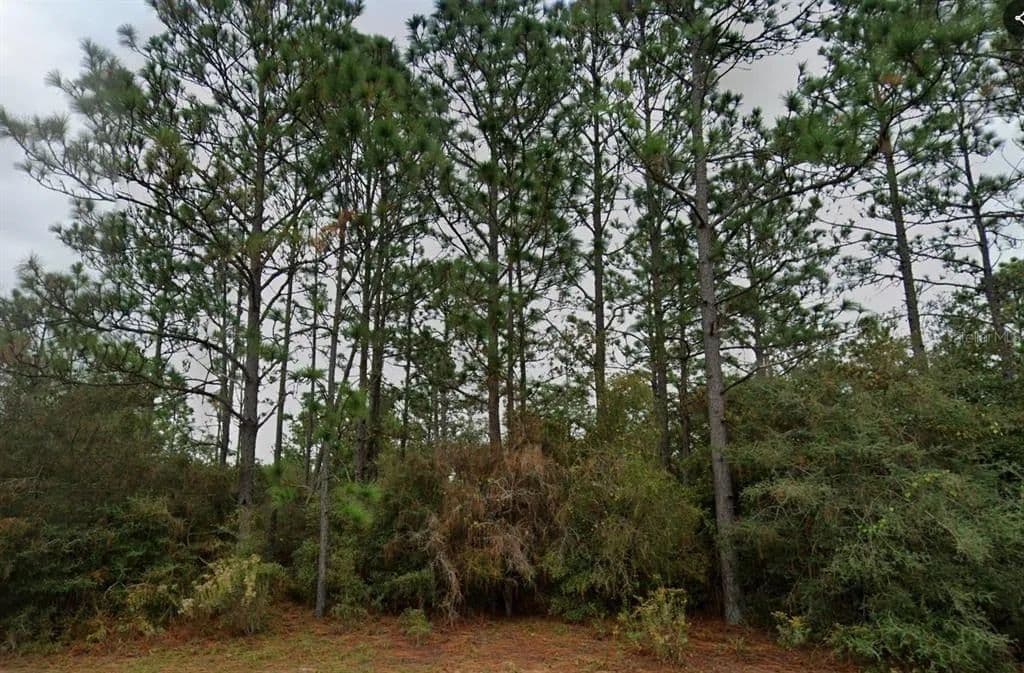Vacant Land in Chipley - Chipley, Florida, 32428