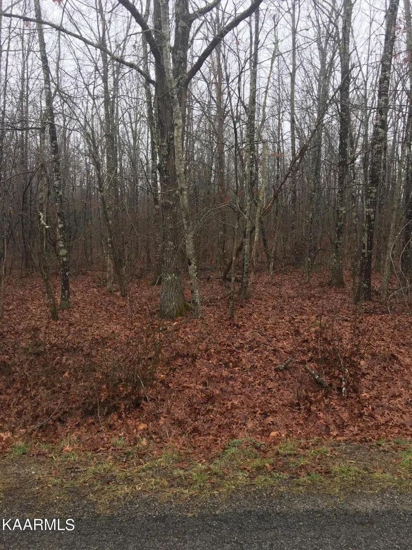 Lots & Land-Other in Crossville