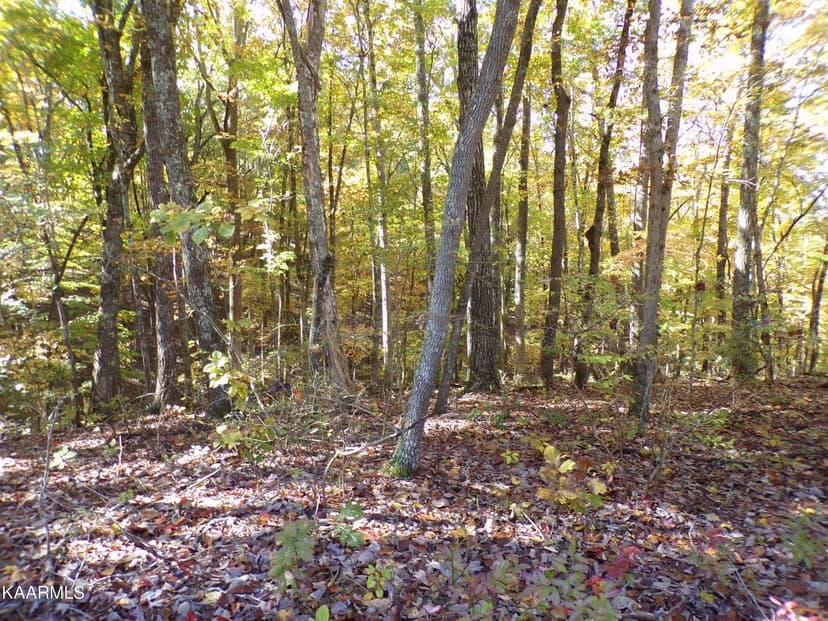 Lots & Land-Other in Fairfield Glade