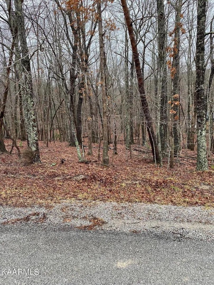 Lots & Land-Other in Fairfield Glade