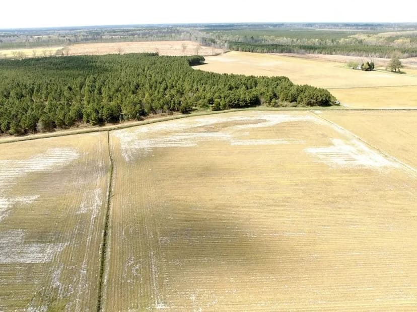 109.79 acres of agricultural and timber land in Gates County NC!