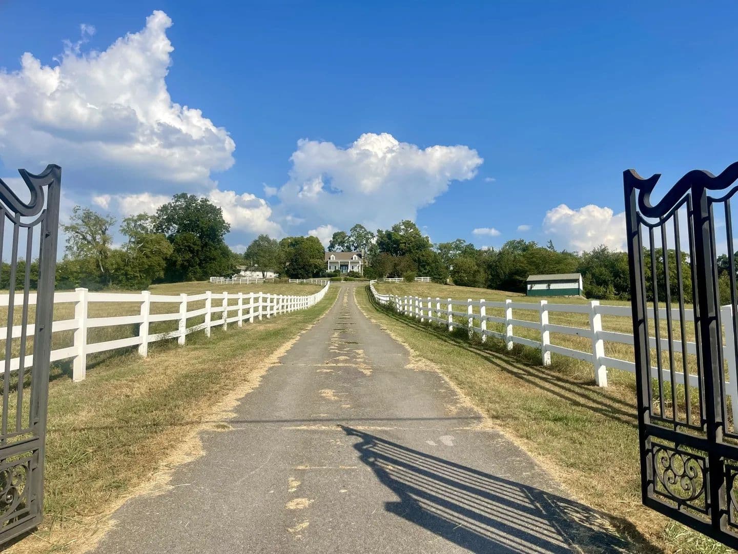 26.2 Acres of Land for Sale in Lewisburg, TN - Lewisburg, Tennessee, 37091