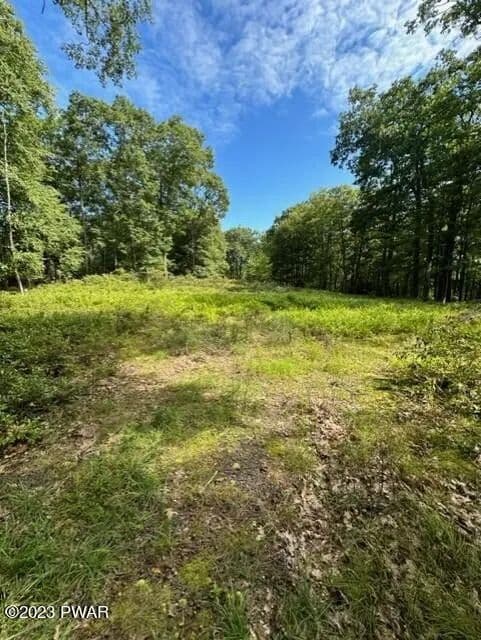 Lots & Land-Other in Milford