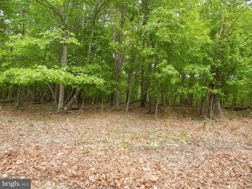 Vacant Land in Berkeley Springs